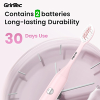 Brosse à dents électrique étanche adulte 3 modes de nettoyage brosse à dents électrique nouveau Design usage domestique Portable