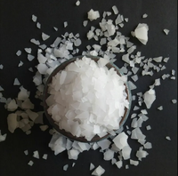 Usine offre le plus bas prix chlorure de Magnésium/Mgcl2 flocon CAS 7786-30-3