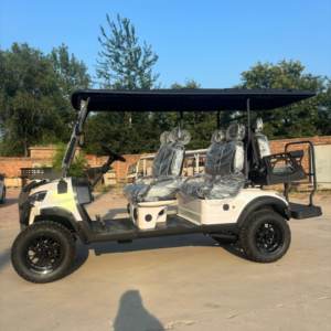 2025 nouveau chariot de golf blanc électrique tout-terrain Ez Golf Go Truck 4 + 2 ou 6 sièges - Product Image 5