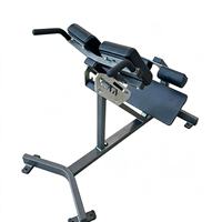 Banc d'hyperextension réglable professionnel, Chaise romaine, Appareil de musculation robuste pour l'extension dorsale, pour la musculation du tronc et du bas du dos en salle de sport OEMODM