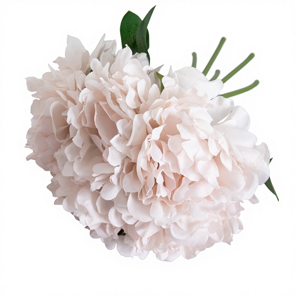 สีชมพูอ่อน