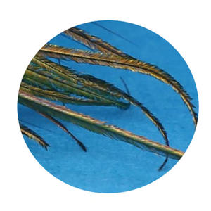 Papillon Elegante <span class=keywords><strong>di</strong></span> Alta Qualità in Piume <span class=keywords><strong>di</strong></span> Pavone Bianche Fatte a Mano per <span class=keywords><strong>Uomo</strong></span> - Product Image 6