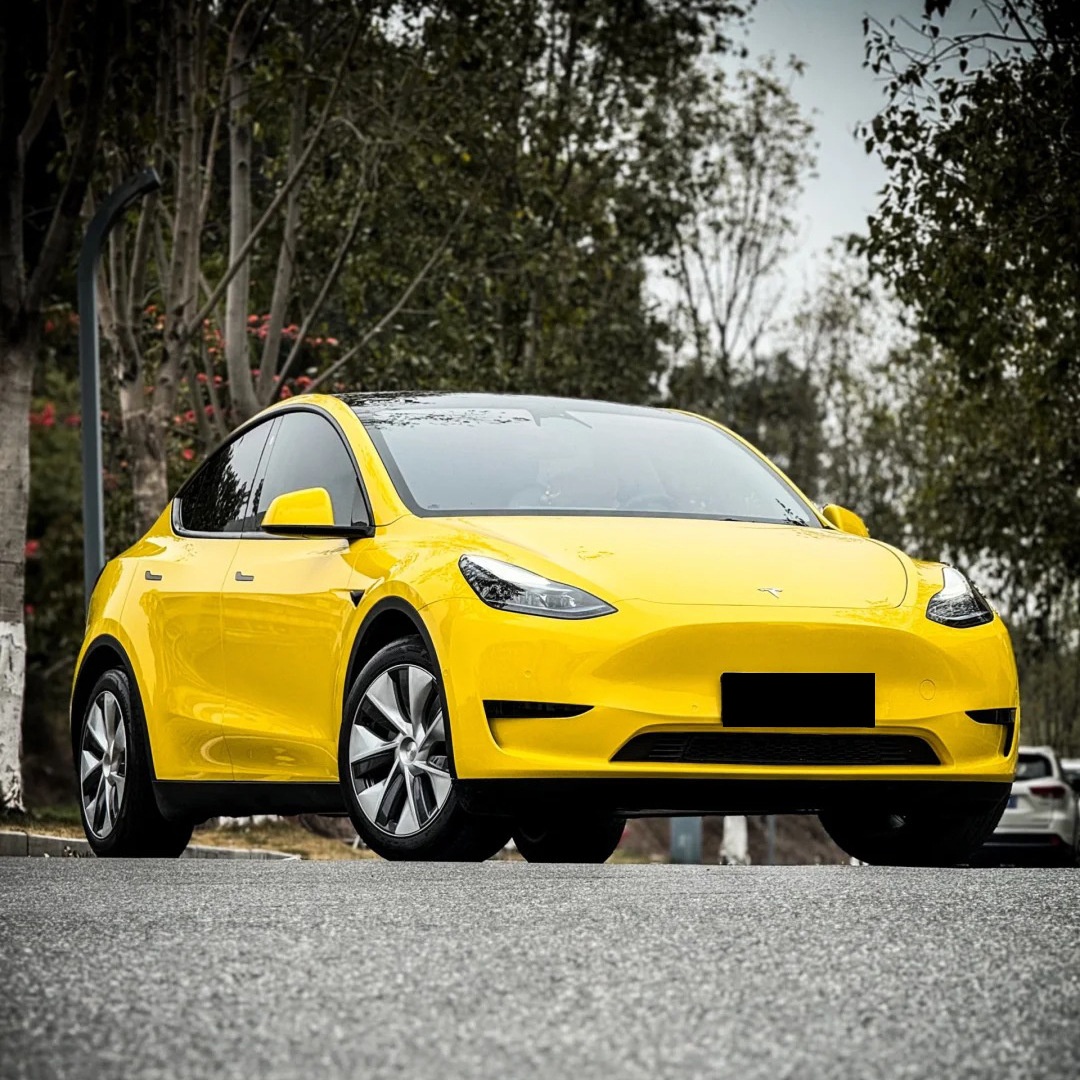 Pet Vegas giallo - Garanzia di due anni