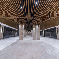Plafonds décoratifs intérieurs modernes personnalisés, dalles acoustiques en aluminium, faux plafond, panneau insonorisant en métal couleur bois