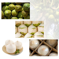 Jeune machine de traitement d'épluchage de tondeuse de coupe de noix de coco