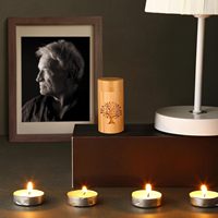 Urna Ecológica Cilíndrica de Bambú para Cenizas de Mascotas, Caja Conmemorativa de Arte Moderno, Contenedor Funerario para Mascotas OEM