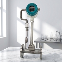 Medidor de Flujo Vortex con 1% de Precisión, Certificación CE ROHS, Coeficiente Óptico Personalizable para Gas, Montaje en Brida, Fabricante Chino
