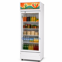 Congélateur vertical commercial à température unique, à dégivrage automatique, pour hôtels et restaurants, avec éclairage LED, refroidissement par air et porte vitrée