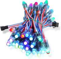 WS2811 5V 50pcs 12mm Lampu Pixel LED RGB Digital Difusi Dapat Diatur Secara Individual Bulat c IP67 Tahan Air DC