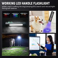 Lampe torche EDC plate Wurkkos HD01PRO, laser vert UV 365nm, LED blanche à faisceau large, mini torche, lumière latérale RGB avec queue magnétique