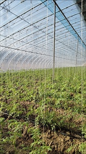 ตะขอแขวนคุณภาพสูง หลายขนาด สำหรับแขวน<span class=keywords><strong>เสา</strong></span> พร้อมตะขอคู่สำหรับการปลูกไม้เลื้อย - Product Image 4