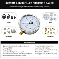 Anti-vibration Oil Filled Pressure Gauge Stainless Steel Case Brass With Explosion-proof Holes Hydraulic Pressure Gauge
