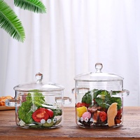 Casserole en verre borosilicate de haute qualité avec couvercle et poignées doubles résistantes à la chaleur pour cuisinière à induction, compatible lave-vaisselle
