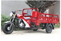 Benzine driewieler met achteruitversnelling, 150cc luchtgekoelde motor, grote laadcapaciteit, vrachtwagen met diepe laadbak, drie wielen
