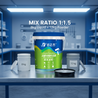 Revêtement d'étanchéité en ciment polymère BZJ JS - Haute résistance, durable, écologique, à base d'acide acrylique liquide, pour bâtiments de bureaux modernes