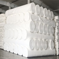 Tissu géotextile non tissé aiguilleté pour sous-couche filtrante de riprap de bord de mer