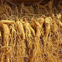 Racine de ginseng jaune clair traditionnel chinois, plante sauvage séchée à l'air, processus de séchage AD, vente en gros en vrac, Anhui, 1 kg