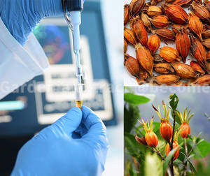 SHxIN Select personalizado semipermanente tatuaje pegatina temporal Henna tatuaje pegatina falso tatuaje pegatina para hombres arte corporal - Product Image 6