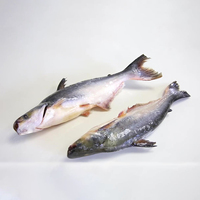 Pangasius Seafood Vietnam Basa Catfish Swai Poisson Entier Congelé en Gros pour le Commerce