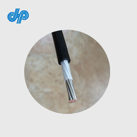 Cable de Protección Catódica de 10mm2 16mm2 25mm2 35mm2 CU/PVDF/HMWPE