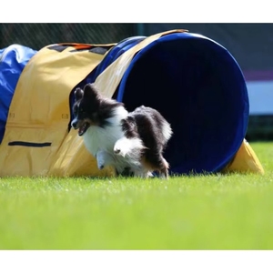 24in 1-6m tùy chọn ngoài trời PVC đường hầm gấp con chó sự nhanh nhẹn đào tạo đường hầm Ống sự nhanh nhẹn đường hầm cho tập thể Dục & Đào Tạo & vâng lời - Product Image 6