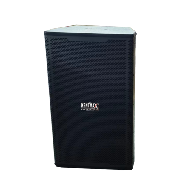 Sound Equipment 10" Passive Speaker 200W RMS POWER Sound Audio PRO SPEAKER