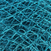 JINLI Bon Prix Filet De Pêche Solide Nylon/PE Filet Tressé Piège De Pêche Filet PE