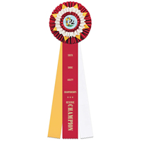 Ruban de rosette de prix de jardin personnalisé 6.5 "ruban de prix rose avec insigne de conception de paysage floral en satin