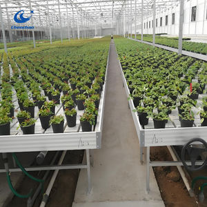 Plateau <span class=keywords><strong>de</strong></span> semis <span class=keywords><strong>de</strong></span> marée <span class=keywords><strong>de</strong></span> serre Plateau <span class=keywords><strong>de</strong></span> semis d'irrigation <span class=keywords><strong>de</strong></span> marée <span class=keywords><strong>de</strong></span> 4*8 pieds - Product Image 6