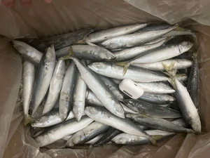 X1654 الشركة المصنعة IQF scompber Japonicus Land Fish 8-10 روض - Product Image 5