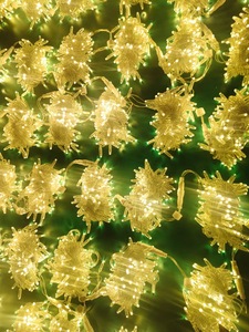 China Wholesale <strong>Led</strong> Solar Garden <strong>String</strong> Light <strong>Led</strong> Light <strong>Strings</strong> - Product Image 6