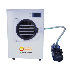 inexpensive small size freeze dryers freeze drying machine for food