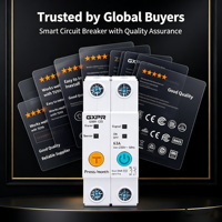 GXB1-63M WiFi Smart Breaker 63A 1P 2P dengan Pengukuran Daya, Kontrol Suara Jarak Jauh via Aplikasi TUYA, Pemutus Sirkuit Otomatis