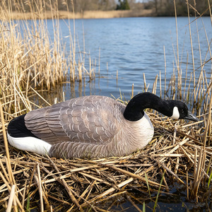 Décoy de chasse au canard sauvage durable, directement de l'usine, pour activités extérieures - Product Image 2