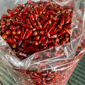 Piments séchés de qualité supérieure, poilssons bien formés, saveur fortement épicée, belle coloration, pour <span class=keywords><strong>la</strong></span> restauration commerciale - Product Image 4