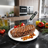 Thermomètre numérique pour aliments, thermomètre à lecture instantanée, thermomètre de cuisine pour bonbons, barbecue, huile, lait, bain, eau