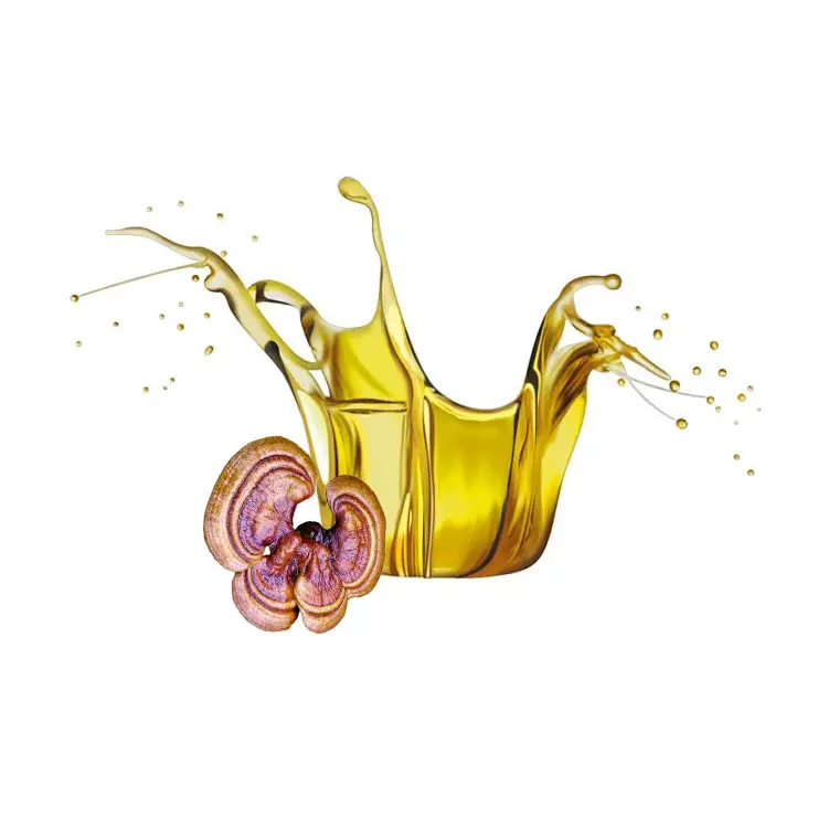 Triterpeno natural 20% Ganoderma Reishi aceite de esporas de hongos