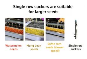 Vari <span class=keywords><strong>semi</strong></span> di <span class=keywords><strong>ortaggi</strong></span> Pin-aspirazione semina in <span class=keywords><strong>vendita</strong></span> - Product Image 6