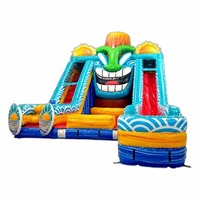 Tobogán Acuático Inflable de 20 pies, Modelo Kona Falls Lagoon, de Una Sola Vía, para Uso Comercial, Material de PVC