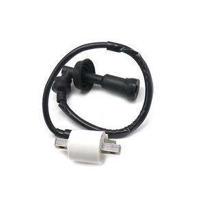 คอยล์จุดระเบิดดัดแปลงรถจักรยานยนต์แรงดันสูง OEM DTS-1-100P-0101 BM150 CT100 plati <span class=keywords><strong>CD125</strong></span> NA100X - Product Image 1