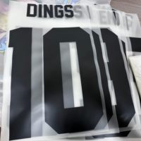 Transferts thermocollants en plastisol DTF pour l'impression en gros de logos, numéros de maillots de football et lettres pour vêtements de sport et t-shirts