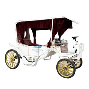 Turismo familiar europeo, turismo eléctrico, carruaje tirado por caballos, nuevo producto negro para transporte especial - Product Image 3
