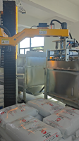 Manipulateur de sacs tissés en PP, robot de déchargement de sacs de 25 kg, machine de chargement automatique de granulés pour l'entrée des granulés dans les silos de mélange