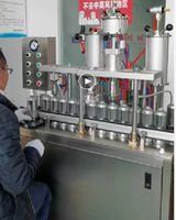 Équipement de remplissage de cosmétiques de machine de remplissage d'aérosol semi-automatique de ZT