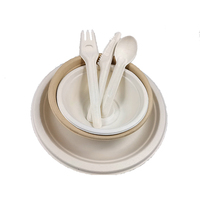 Assiettes jetables biodégradables pour Bagasse blanche 100% en fibres de plantes naturelles, assiettes de Bagasse recyclables de 9 pouces