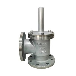 Vanne de fond à <span class=keywords><strong>eau</strong></span> en acier inoxydable SSDF-1 pour pompe à <span class=keywords><strong>eau</strong></span> - Product Image 1