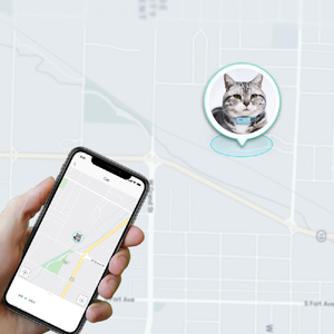 الجملة طوق بكلاب الابتكار الحيوانات الأليفة اكسسوارات الحيوانات الأليفة محدد طوق جهاز ذكي مكافحة تفقد محدد للحيوانات الاليفة القطط <span class=keywords><strong>Gps</strong></span> بتتبع - Product Image 5