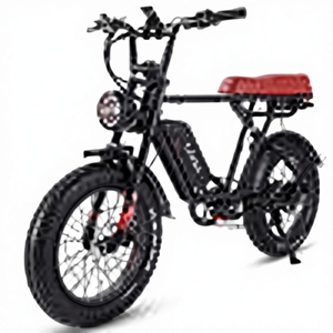 Vélo Électrique Tout-Terrain 750W Personnalisable à Pneus Larges, Suspension Intégrale, Batterie Arrière 55Ah, Léger, Autonomie 60 km, Stock US - Product Image 1