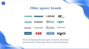 Ventas calientes populares Nivel de agua inalámbrico Rose-Mount 2160 Detector de nivel inalámbrico-Horquilla vibratoria - Product Image 2