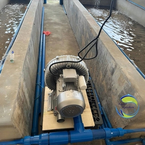 Bomba de soplador de aire Vortex, ventilador de oxígeno, máquina aireadora, sistema de aireación para acuicultura, Tilapia, peces, camarones, estanque de cultivo - Product Image 4